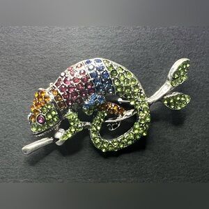 Chameleon Brooch - NWT